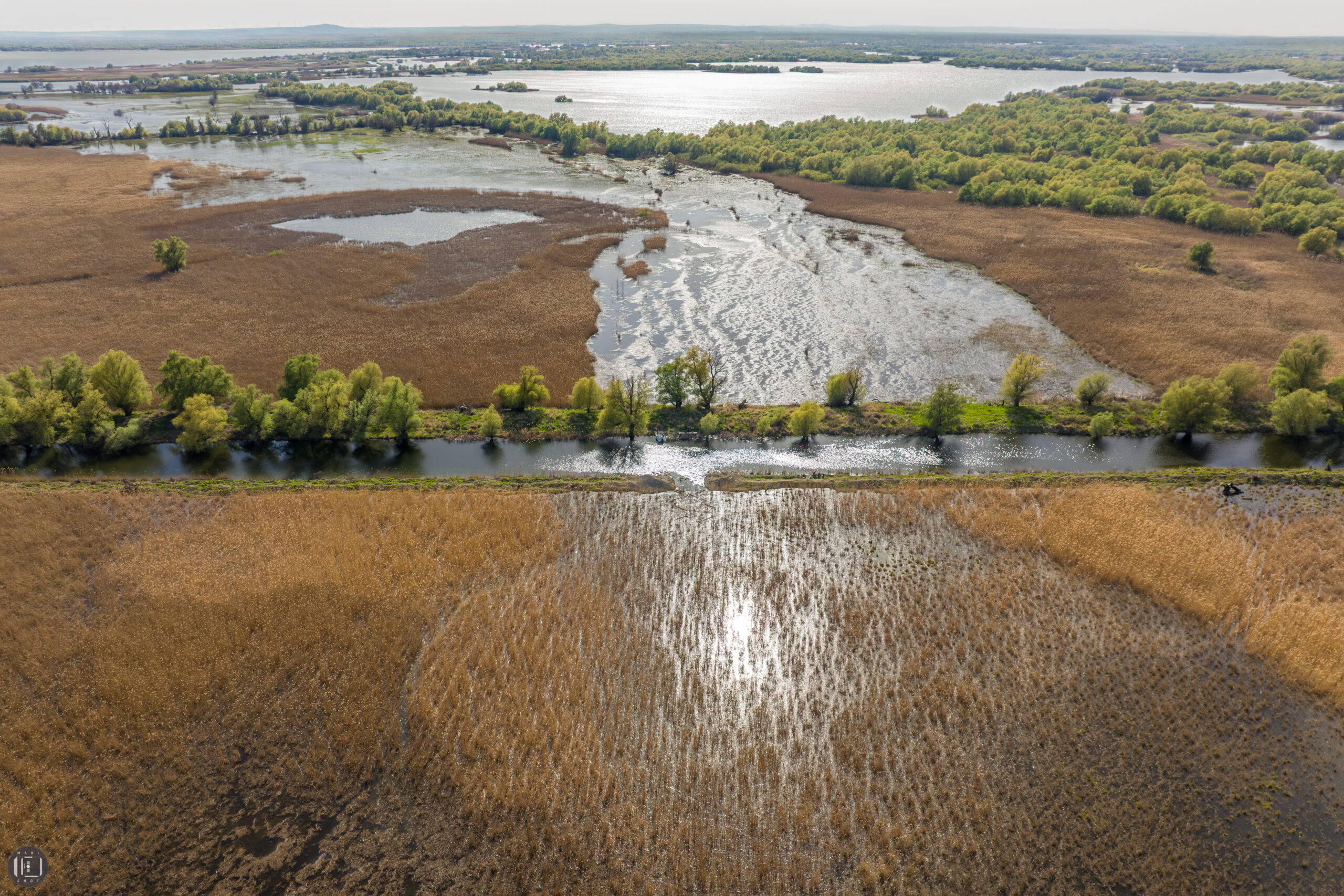 Delta Dunării - Galeria din baltă (credite foto Mani Gutău) (2)