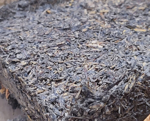 Poze-Mind-Over-MaterArtboard 2