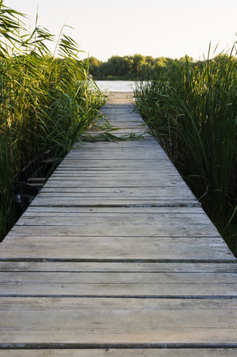 Sf Gh ponton (credit photo dreamstime.com) cap 1